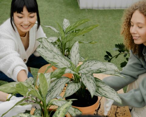 Life Feels Good Magazine